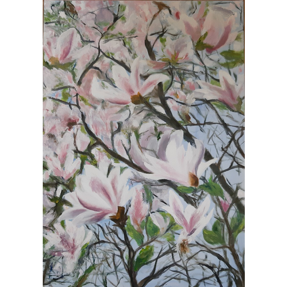 SACHET, Les magnolias
